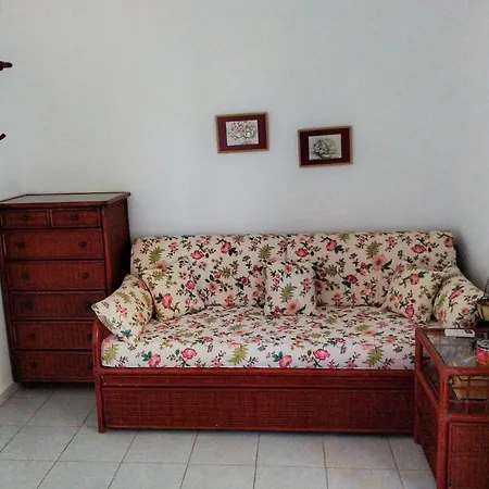 Tatil Evi The 