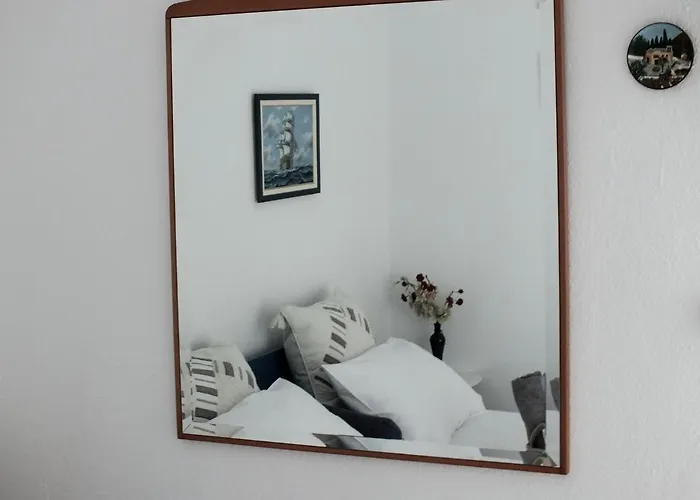 The 