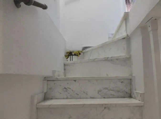 The 
